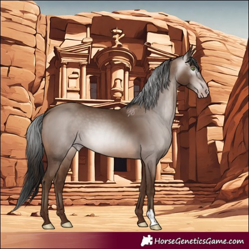 Horse Color:Gray Sable Champagne 