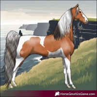 Horse Color:Bay Tobiano 
