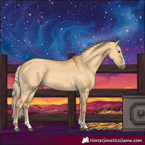 Horse Color:Palomino Dun 