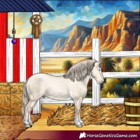 Horse Color:Gold Champagne Pearl Dun Tobiano