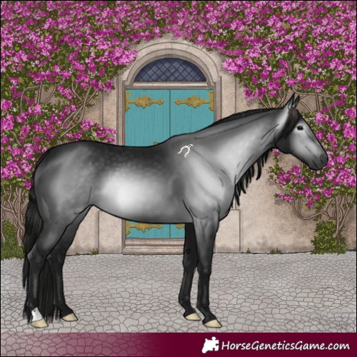 Horse Color:Gray Black 