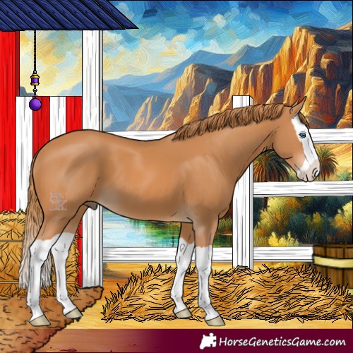Horse Color:Chestnut Splash 