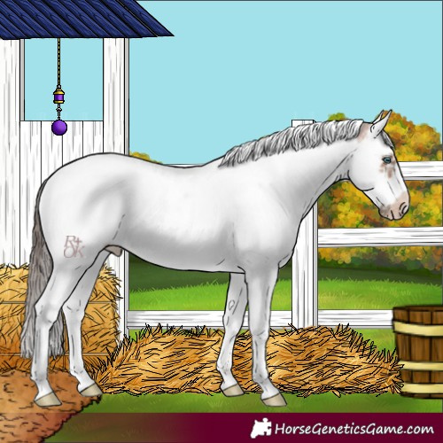 Horse Color:White Spotted Bay Splash Tobiano Frame Blanket 