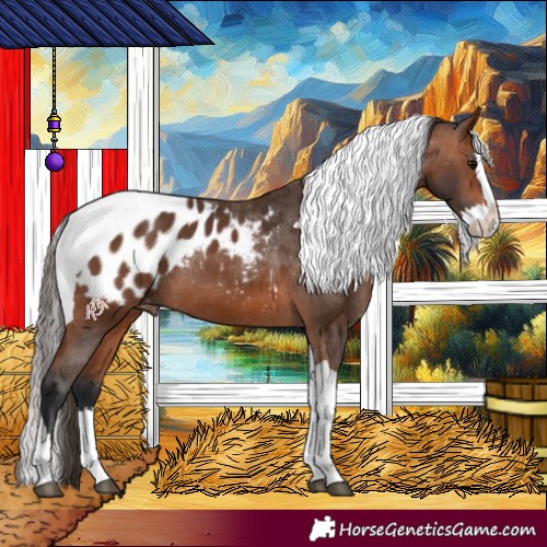 Horse Color:Bay Splash Tobiano Blanket 