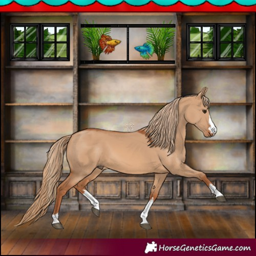 Horse Color:Red Dun 