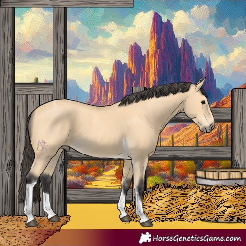 Horse Color:Buckskin Tobiano 