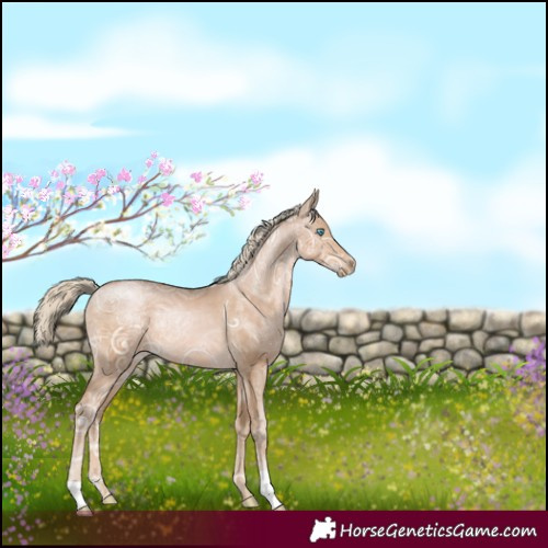 Horse Color:Chocolate Palomino Ice Pearl Rabicano 