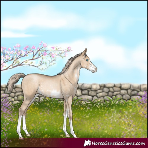 Horse Color:Chocolate Palomino Pearl Dun Sabino 