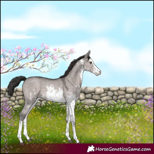 Horse Color:Platinum White Spotted Liver Red Dun Sabino 