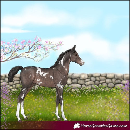 Horse Color:Platinum White Spotted Liver Chestnut 