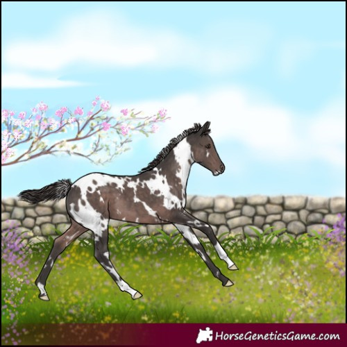 Horse Color:Platinum White Spotted Liver Chestnut 