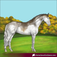 Horse Color:Silver Buckskin Sabino Splash Tobiano 