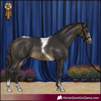 Horse Color:Buckskin Sabino Tobiano Rabicano