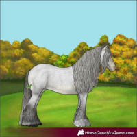 Horse Color:Brown Roan Varnish 