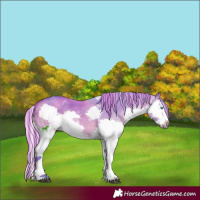 Horse Color:Painted Watercolor Silver Bay Dun Splash 
