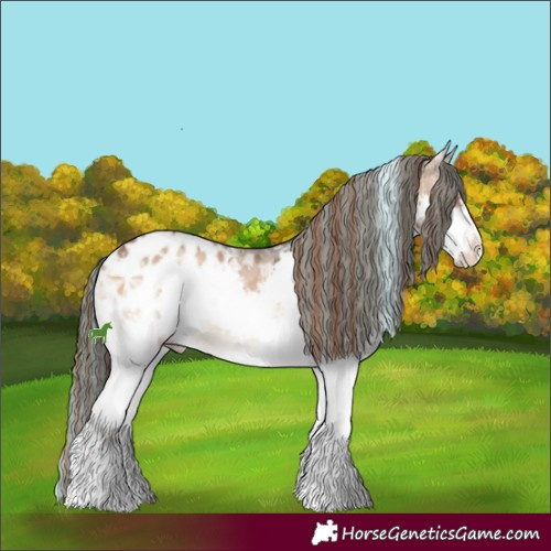 Horse Color:Painted White Spotted Brown Ice Onyx Splash Appaloosa 