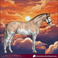 Horse Color:Amber Champagne Splash 