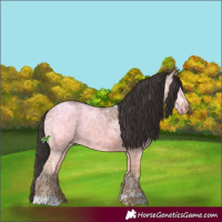 Horse Color:Bay Ice Dun