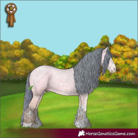Horse Color:Watercolor Bay Ice Dun Sabino 