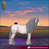 Horse Color:Watercolor Bay Ice Dun Sabino 