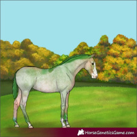 Horse Color:ERROR: UNKNOWN ANOMALY