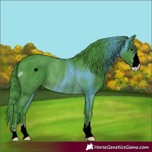 Horse Color:ERROR: UNKNOWN ANOMALY