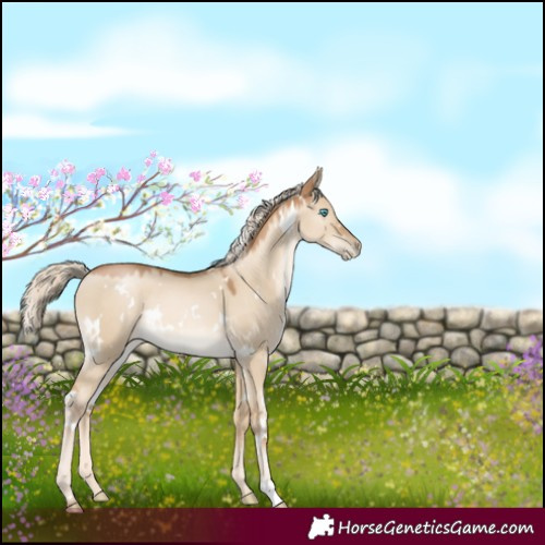 Horse Color:White Spotted Chocolate Palomino Pearl Dun 