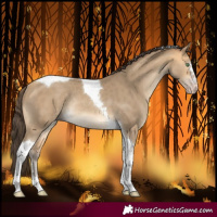 Horse Color:Sable Cream Champagne Tobiano Rabicano 