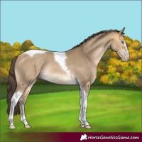Horse Color:Sable Cream Champagne Tobiano Rabicano 