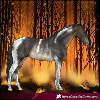 Horse Color:Buckskin Tobiano Rabicano 