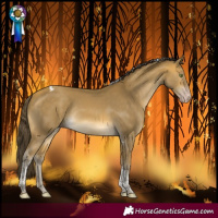 Horse Color:Sable Cream Champagne Tobiano Rabicano 