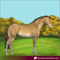 Horse Color:Sable Cream Champagne Tobiano Rabicano