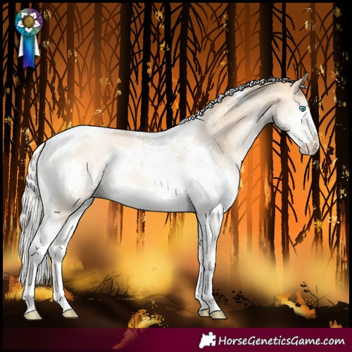 Horse Color:Gold Cream Champagne Snowdrop Splash Tobiano Rabicano 