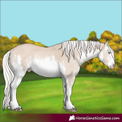 Horse Color:White Spotted Silver Smoky Creme Rabicano 