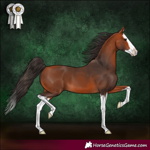 Horse Color:Bay Splash 