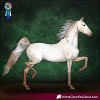 Horse Color:Gray Red Dun Blanket