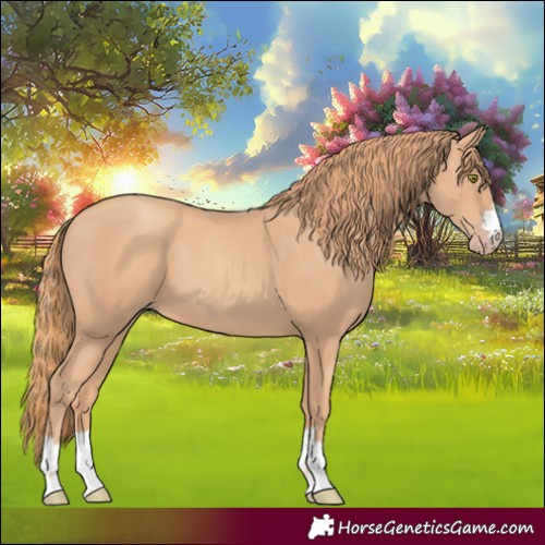Horse Color:Gold Champagne 