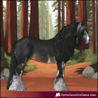 Horse Color:Gray White Spotted Buckskin 