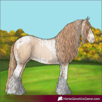Horse Color:Chocolate Palomino Pearl Tobiano Frame and Smoky Black Pearl Tobiano Frame