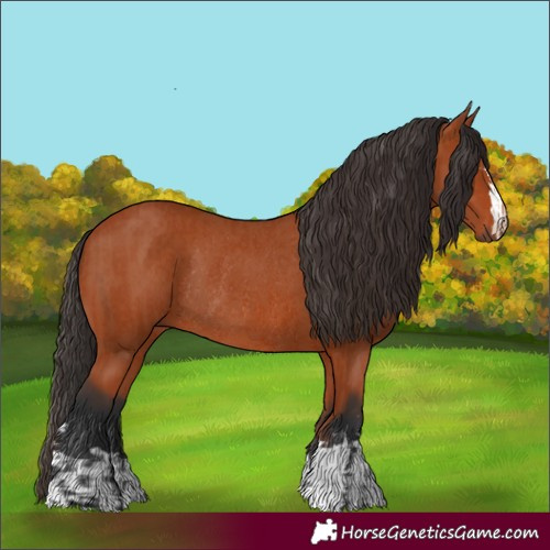 Horse Color:Bay Sabino Rabicano  and Bay Rabicano 