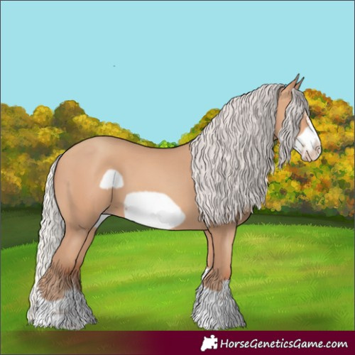 Horse Color:Silver Amber Champagne Frame