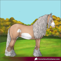 Horse Color:Silver Amber Champagne Frame 