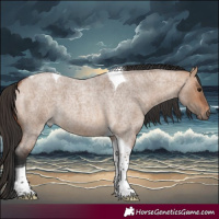 Horse Color:Bay Roan Dun Tobiano