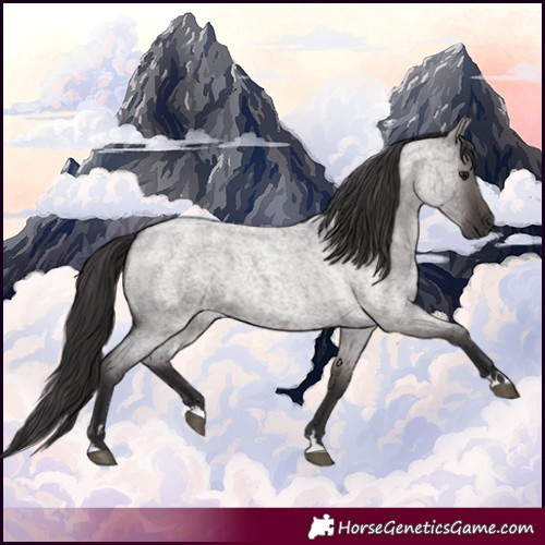 Horse Color:Smoky Grullo Roan 