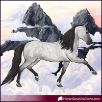 Horse Color:Smoky Grullo Roan