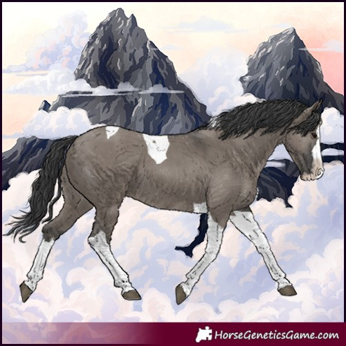 Horse Color:Grullo Splash Tobiano 