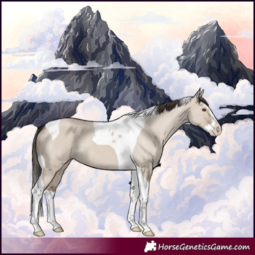 Horse Color:Classic Champagne Dun Splash Tobiano 