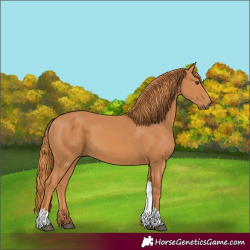 Horse Color:Chestnut Tobiano Rabicano