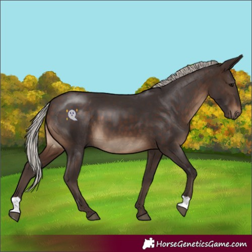 Horse Color:Silver Brown 