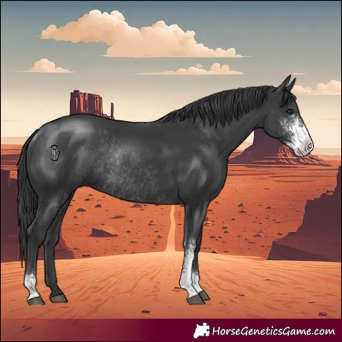 Horse Color:Black Sabino Rabicano 